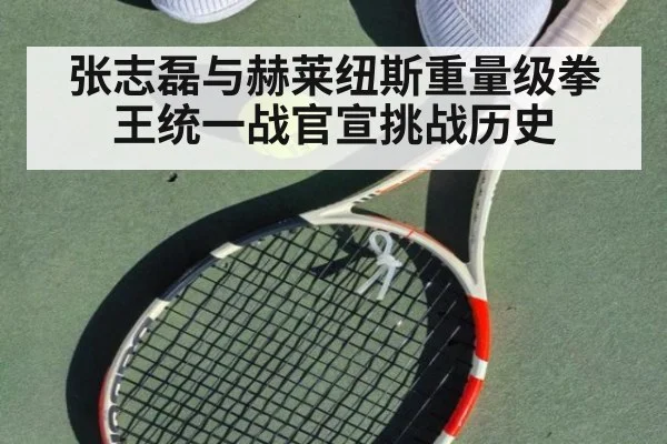 张志磊与赫莱纽斯重量级拳王统一战官宣挑战历史